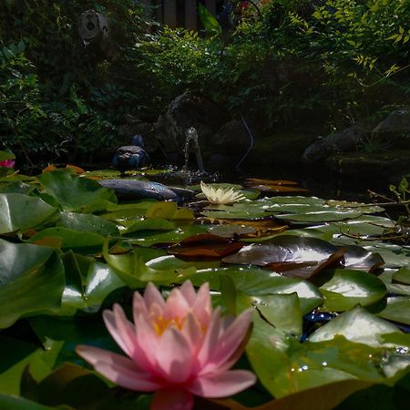 Rozsa Apartman Alsóörs Dış mekan fotoğraf